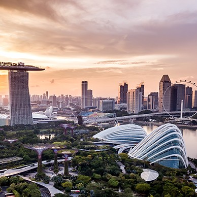 ZMC in Singapore